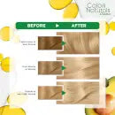 Garnier H/Colour -10