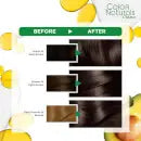 Garnier H/Colour-5.1/2