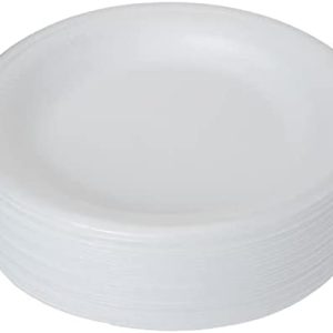 Eazy Pack Plastic Plate 10s