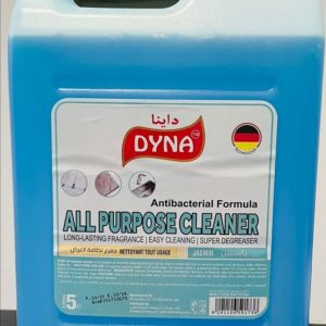 Dyna All Purpose Cleaner 5 litrs - 4 PCS