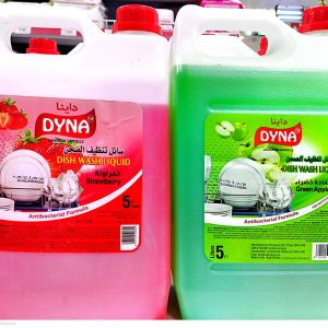 Dyna Dish Wash Liquid 1x5ltr