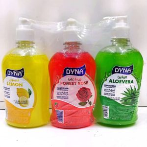 Dyna hand wash assorted 24 x 500 ml (3 pcs)