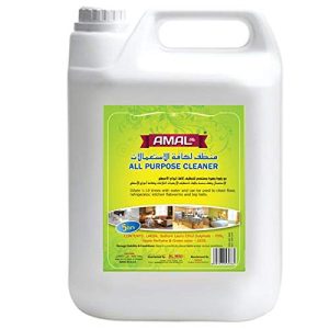 Home Care Wiper WP145