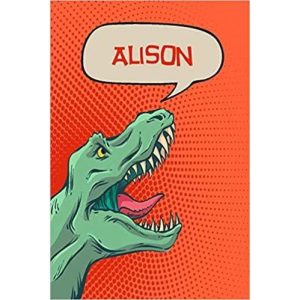 Alison notebook 120 sheets
