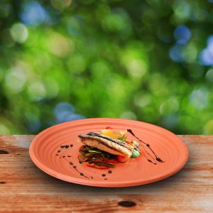 Dinewell terracota dinner plate 7.5