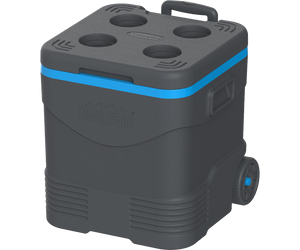 Cosmoplast 30L KEEPCOLD TROLLEY ICEBOX WITH WHEELS