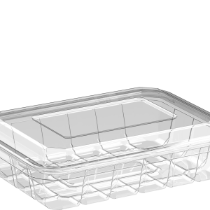 Cosmoplast 1600 ML PACK OF 10 CLEAR UT300 CONTAINERS WITH DOME LIDS