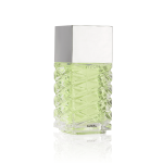 Vision Eau De Parfum Unisex 100ml | Elegant Fresh Long Lasting Perfume