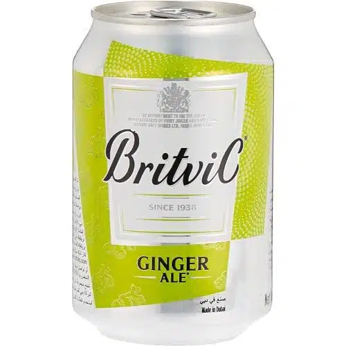 Britvic Ginger Ale Can 300 ml