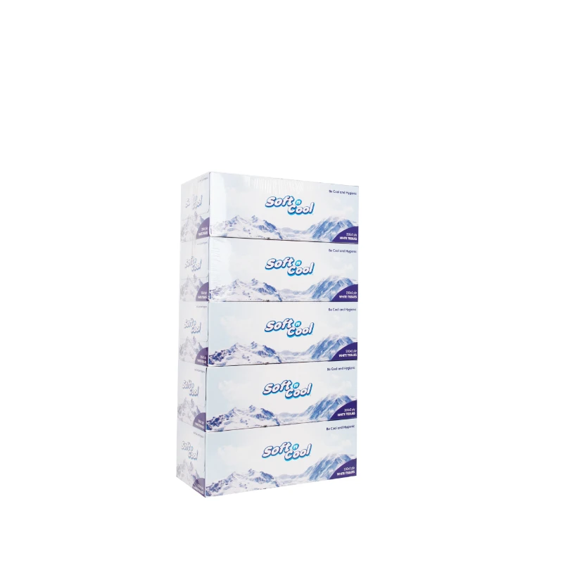 Hotpack Soft N Cool Facial Tissue 200 X 2 Ply 30 Box