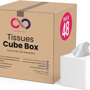 Brandsfinity 2 Ply Facial Tissue - Pack Of 48 Cube Boxes Of 100 Sheets