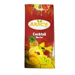 Juuicy Fresh Cocktail Nectar, 1L x 2 Value Pack