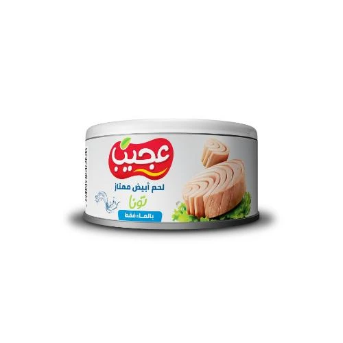 Ajeeb White Meat Tuna Water 170g