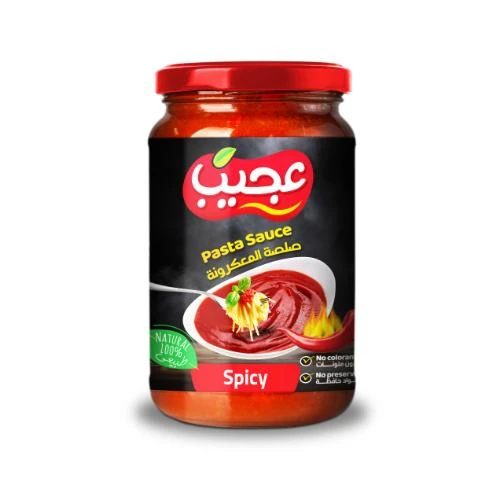 Ajeeb Pasta Sauce Spicy 360g
